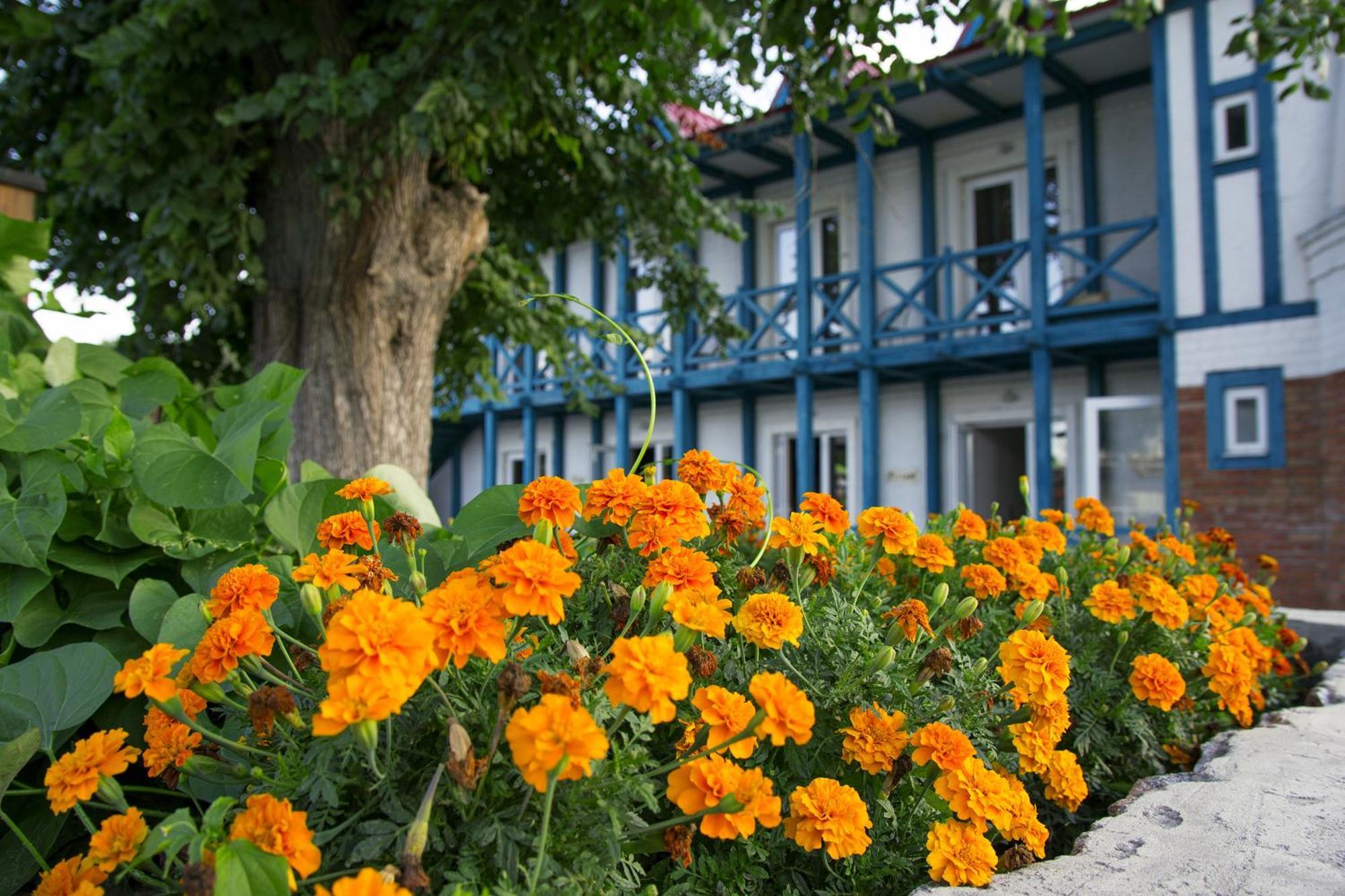 Mayak Resort Kam'yani Potoky ภายนอก รูปภาพ